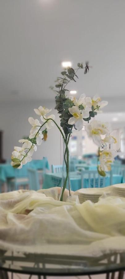 圣地尼克坦巴斯港公寓 南圣弗朗西斯科 外观 照片